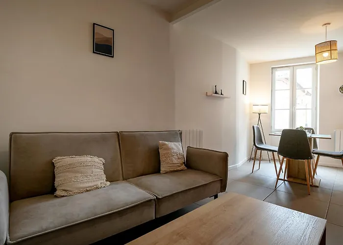 Perpignan Monnaie - Appartement En Centre Ville *